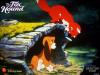 foxhound wallpaper 3